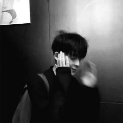 兽设可爱风格设计兽圈社群